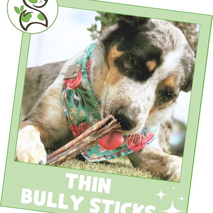 Nature Gnaws Thin Bully Sticks for Dogs 5-6" (1Lb) - Mixed Thickness - Long Lasting for Small Dogs and Puppies - Natural Thin Beef Dog Chew Bones - Rawhide Free