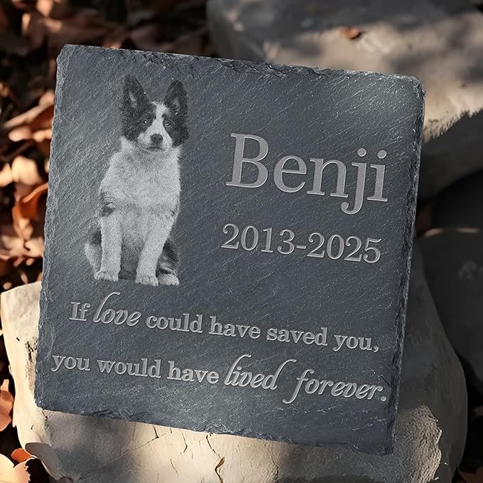 Personalized Pet Memorial Stone, Dog Memorial Gifts, Pet Loss Sympathy Gift, in Memory of Dog Cat - Lived Forever（Square）