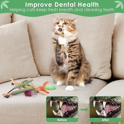 Bissap 16 PCS Silvervine Chew Sticks for Cats, Catnip Chew Sticks Cat Toys for Indoor Cat Kitten Teeth Grinding Interactive Feather Toys for Aggressive Chewers Dental Care