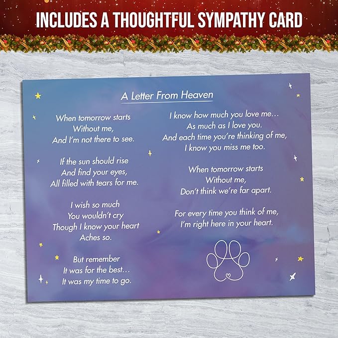 Capti Rainbow Bridge Cat Memorial Gifts, Loss of Cat Sympathy Gift - I'll Meet You at The Rainbow Bridge - Pet Loss Gifts, Bereavement, Sympathy Keepsake for Loss of Pet (Cat and Family)