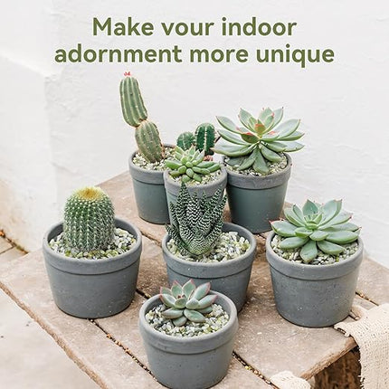 5LB Succulent and Cactus Pebbles, 1/5 Inch Jade Pebbles for Indoor Plants, Decorative Gravel for Vases, Bamboo, Succulent, Terrarium, Crafts, Cactus