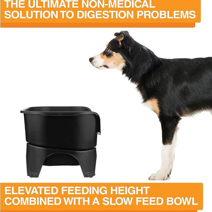 Neater Feeder - Express Model w/ Slow Feed Bowl - Mess-Proof Dog Bowls (M/L, Black) Made in USA – Elevated, No Spill, Non-Tip, Non-Slip, Raised Stainless Steel Food/Water Pet Bowls Aid Digestion