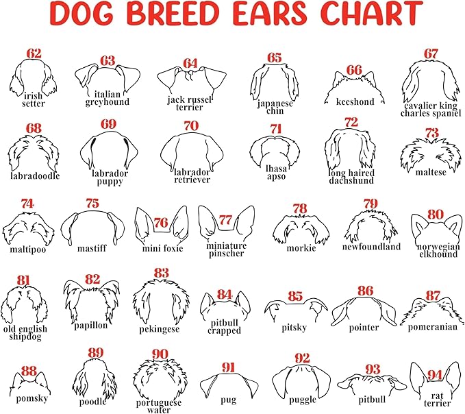 Nazenti Personalized Dog Memorial Picture Frame, Dog Loss Sign, Pet Memorial Signage, Loss Of Pet Sympathy Gift, Custom Collar Holder Frame, Customized Dogs Gifts, Dogs Bereavement Gifts