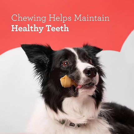 DreamBone Mini Chews, Made with Real Bacon and Cheese Flavor, Rawhide Free Dog Chews, 24 Count