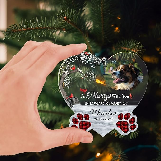 Pavo Customized Christmas Pet Photo Ornament with Text – Personalized Cat Gifts – Pet Memorial Gifts for Dogs Cats – Loss of Dog Sympathy Gift – Personalized Acrylic Ornaments 4-6 Inches