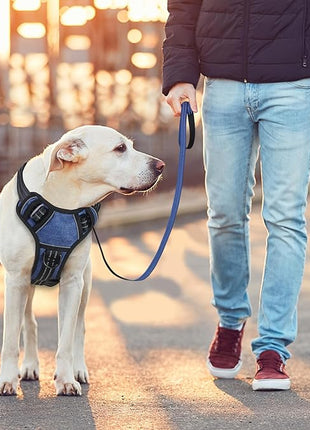 BUMBIN Dog Harness for Large Dogs, No Pull Adjustable No Choke Pet Vest with Dog Leash Fit Smart Reflective Pet Walking Harness for Training Easy Control Soft Handle Denim Blue L