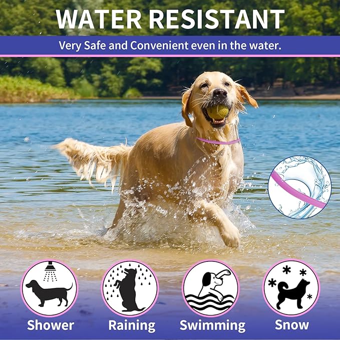 YOTANGO 4 Pack Flea Collar for Dogs, Dog Flea Collar Waterproof, 32 Months Prevention, Dog Fleas and Tick Treatment, Adjustable Fleas and Tick Protection for Dogs Puppy(Blue & Pink)