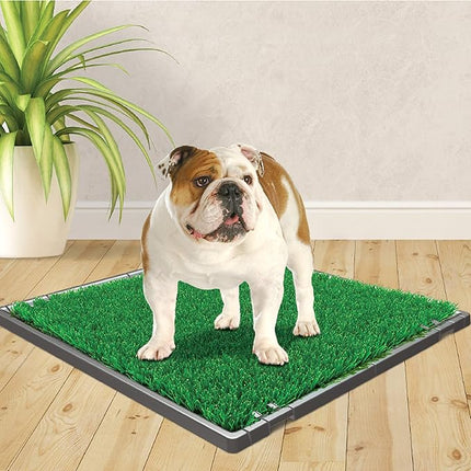 Four Paws Wee-Wee Premium Patch Indoor and Outdoor Pet Potty for Dogs l Dog Potty Training l Artificial Grass l Wee-Wee Patch (Pack of 3)