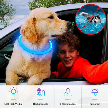 Light Up Dog Collar, Dlitk Rechargeable Cuttable LED Dog Collars, Pet Safety Light at Night Walking for Small Medium Large Dogs, Do Not Use Fast Charging (Blue)