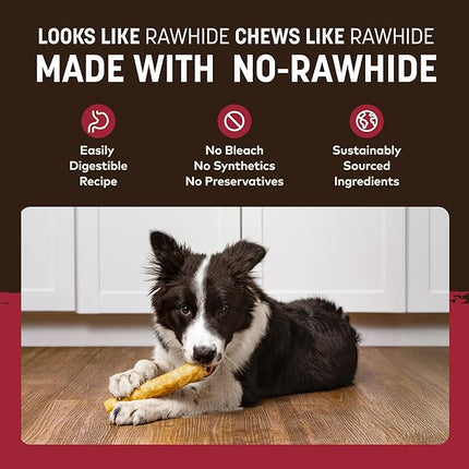 Earth Animal No Hide Chews - Long Lasting Rawhide Free Medium Dog Chews Rolls, Beef - 2 Count