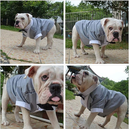 Lovelonglong Bulldog Costume Dog Suit Formal Tuxedo with Black Bow Tie Wedding Clothes for Pugs/French Bulldog/English Bulldog/American Pit Bull Gray B-M