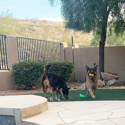 Jalousie 4 Inch Latex Dog Squeaky Toys, Soft Rubber Chew Toy, Animal Ball for Puppy Small Medium Pets (5 Pack)