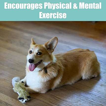 SPOT Skinneeez Raccoon 14 Inch Stuffing-Free Plush Dog Toy – Soft, Mess-Free Toy with One Squeaker for Small & Medium Dogs, Best for Light to Moderate Chewers