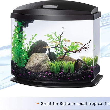 Aqueon LED MiniBow Small Aquarium Fish Tank Kit with SmartClean Technology, Black, 5 Gallon