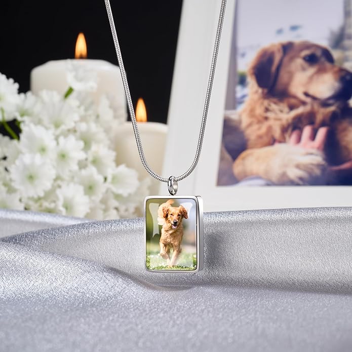 Fanery Sue Pet Ashes Necklace Cremation Jewelry Personalized Picture&Quote Memorial Gifts for Loss of Dog/Cat Urn Necklaces Pets Loss Sympathy Gift Keepsake for Women
