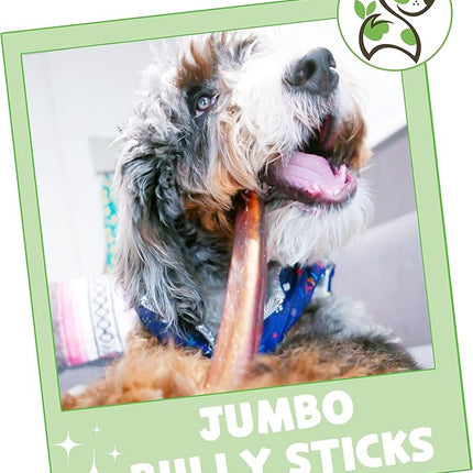 Nature Gnaws Extra Large Bully Sticks for Dogs 11-12" (3 Count) - Thick Long Lasting for Aggressive Chewers and Heavy Chewers - Natural Beef Dog Chew Bones