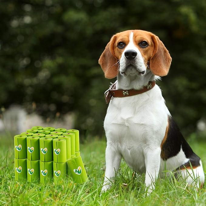 Pkpoo 100% Compostable Dog Poop Bags, Extra Wide, Vegetable-Based Large Poop Bags for Dogs, Biodegradable Waste Bags for Poo, Cat Litter, Diaper Sacks, Unscented, 240 Counts