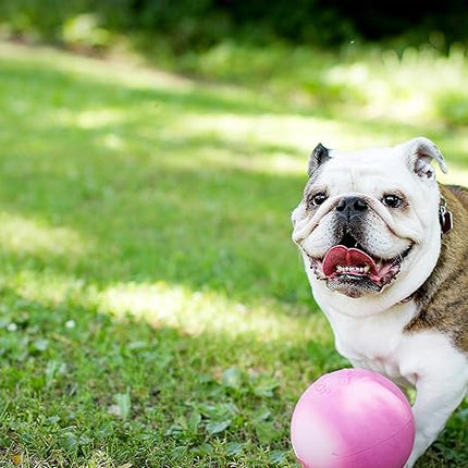 Jolly Pets Bounce-n-Play Dog Toy Ball, 6 Inches, Pink, 6 Inches/Medium (2506 PK)