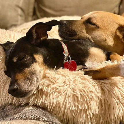 Calming Dog Bed for Small to Large Dogs - Anti-Anxiety, Machine Washable, Warming & Cozy, Soft Round Bed - Fits up to 10-100 lbs (Medium, Beige)