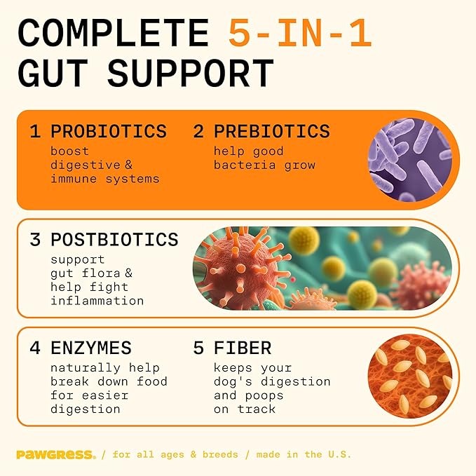 5-in-1 Dog Probiotic Powder – 100% Natural Gut Health Support with Prebiotics, Postbiotics & Enzymes – Crafted by Dog Nutritionist Kayla Kowalski, Made in USA – 30 Scoops