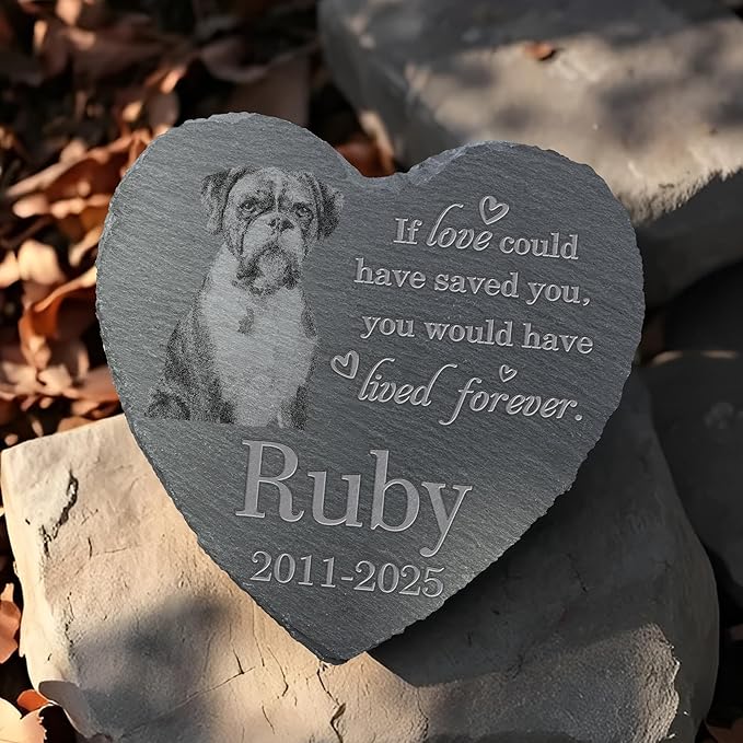Personalized Pet Memorial Stone, Dog Memorial Gifts, Pet Loss Sympathy Gift, in Memory of Dog Cat - Lived Forever（Heart）