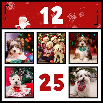 Zeaxuie Dog Chew Toys for Xmas - 9 Pack Santa Puppy Toys for Teething Small Dogs with Rope Toys, Treat Ball and Squeaky Dog Toys