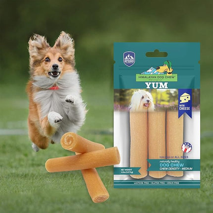 Himalayan Dog Chew Yak Cheese Dog Chews, Lactose Free & Grain Free, USA Made, for All Dog Breeds, Medium Density Cheese Chew, Resealable Pouch with 3 YUM Treats, Cheese Flavor