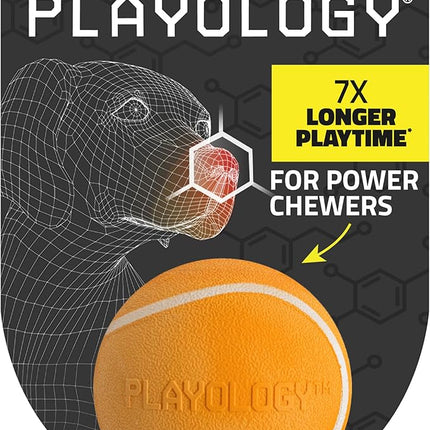 Playology Dog Toys | Squeaky Chew Ball - Bouncy Durable Floating Fetch Ball for Dogs | Medium Cheddar Cheese Scented Toy - Easy to Clean and Made from Non Toxic Materials