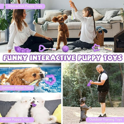 6 Pack Puppy Teething Toys Cute Small Dog Toys Durable Puppy Chew Toy for Teething Essentials Purple Soft Rubber Small Breed Dog Squeaky Balls for Puppies Interactive Doggy Chews Toy Set