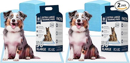 American Kennel Club Scented Puppy Training Pads with Ultra Absorbent Quick Dry Gel – 28 x 30 Pee Pads for Dogs - Fresh Scented - 50 Count, XL (Pack of 2)