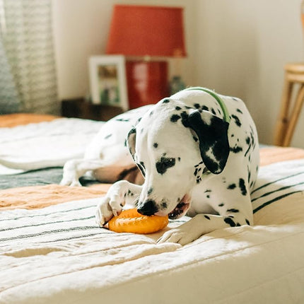 Playology Dog Toys | Dual Layer Ring Durable Chew Toy for Aggressive Chewers | Jumbo Cheddar Cheese Scented Toy - Easy to Clean and Made from Non Toxic Materials