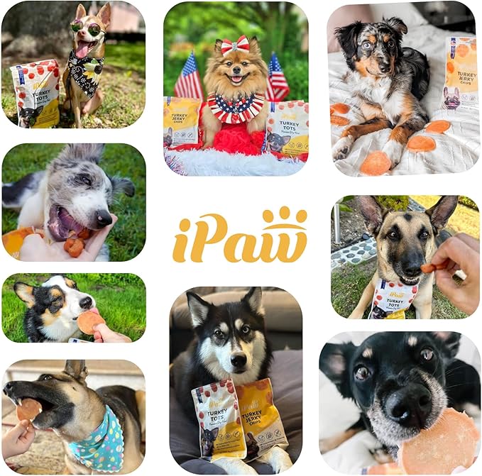 iPaw Chicken Chips Dog Treats for Puppy Training, All Natural Human Grade Dog Treat, Hypoallergenic, Easy to Digest (Chicken Chips)