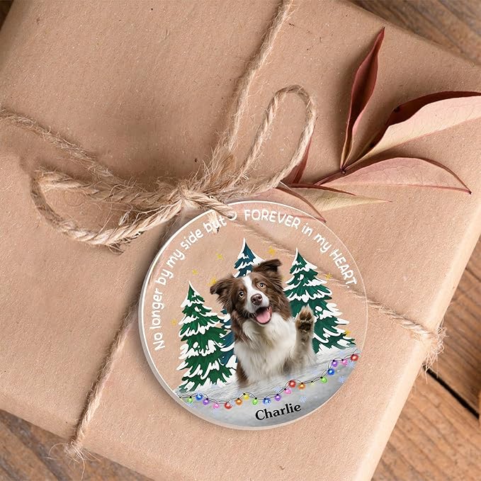 Pavo Personalized Picture Frame Pet Memorial Gifts for Dogs, Cats, Pets - Personalized Decorative Hanging Ornaments 4–6 Inches, Loss of Dog Sympathy Gift, Cat Memorial Gifts for Loss of Cat