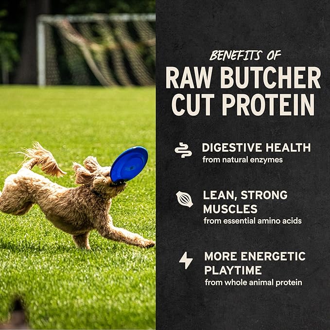 Vital Essentials Chicken Breast Dog Treats, 10 oz | Freeze-Dried Raw | Single Ingredient | Premium Quality High Protein Training Treats | Grain Free, Gluten Free, Filler Free