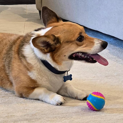 SPOT Sensory Ball for Soft Chewers - Stimulates All 5 Senses, Bell & Squeaker Sounds, Raised Nubs Clean Teeth, High Contrast Fetch Toy, Beef Scented, Durable TPR Rubber Ball, 2.5-inch