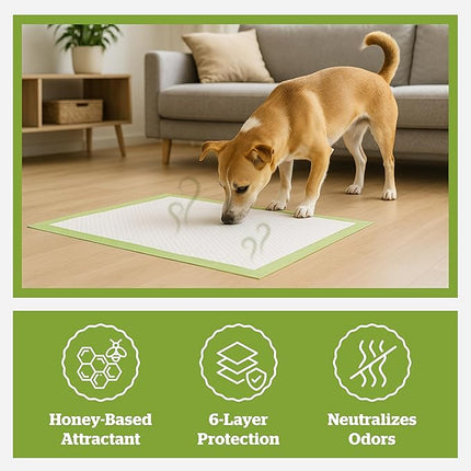 Pogi’s Potty Pads with Sticky Tabs – XL, Super Absorbent, Odor Blocking, 40-Count (24x35in)