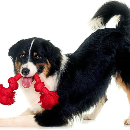 Playology Dog Toys | Dri-Tech Rope Toy Tug of War Rope for Aggressive Chewers | Medium Beef Scented Toy - Easy to Clean and Made from Non Toxic Materials