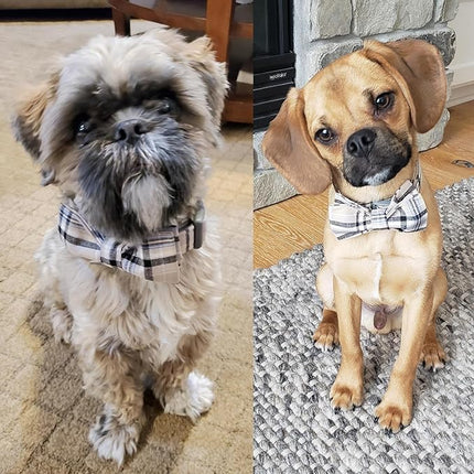 Lionet Paws Dog and Cat Collar with Bowtie Grid Collar Plastic Buckle Light Adjustable Collars for Small Medium Large Dogs