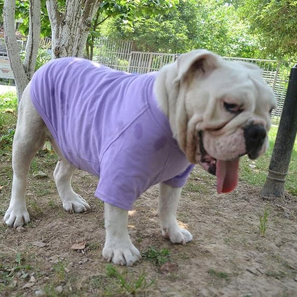Lovelonglong Bulldog Clothes Dog Clothing Blank T-Shirt Tee Shirts for French Bulldog English Bulldog American Pit Bull Pugs 100% Cotton Skin Care Violet B-M