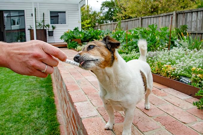 4CYTE™ Epiitalis® Forte Dog Gel 50ml/1.69 fl oz