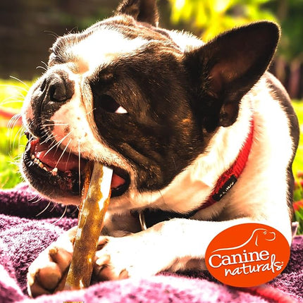 Canine Naturals Peanut Butter Chew - Rawhide Free and Dog Treats - Made from Real Peanut Butter - All-Natural and Easily Digestible - 10 Pack of 5 Inch Stick Chews