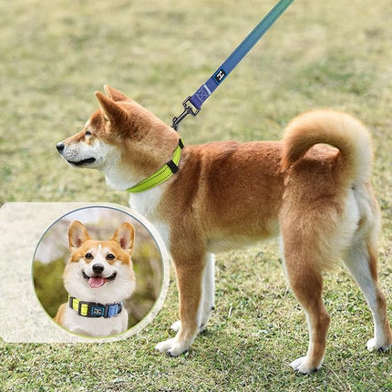 Roses&Poetry Reflective Dog Collar and Leash Set with Gradient Amber, Adjustable Durable Puppy Collars Leashes for Extra Small Dogs (Amber-XS)