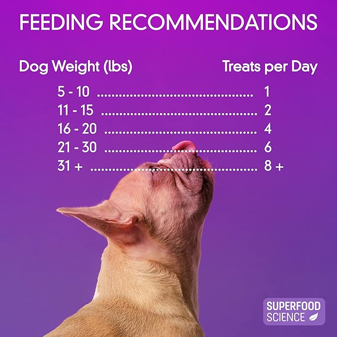 Organic Dog Treats for Small, Medium & Large Dogs – All-Natural Turkey Training Treats for Puppies & Adult Dogs, Grain-Free, Hypoallergenic, Healthy, Low-Calorie, Semi-Soft Chews, Made in USA, 5 oz