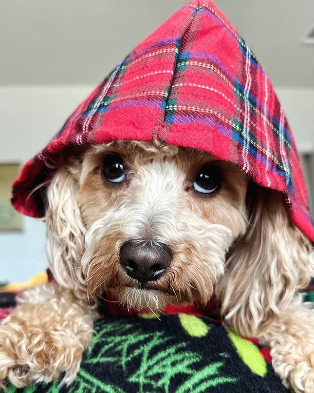 Fitwarm Tartan Plaid Dog Hoodie, Dog Clothes for Small Dogs Girl Boy, Pet Sweatshirt with Hood, Cat Winter Outfit, Red, Green, Medium