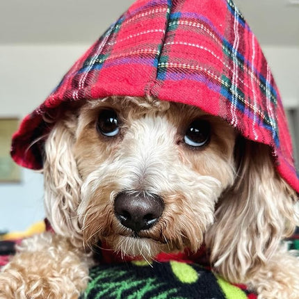 Fitwarm Tartan Plaid Dog Hoodie, Dog Clothes for Small Dogs Girl Boy, Pet Sweatshirt with Hood, Cat Winter Outfit, Red, Green, Small