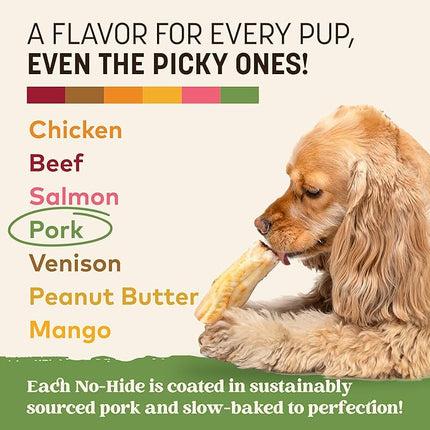 Earth Animal No Hide Chews - Long Lasting Rawhide Free Small Dog Chews Rolls, Pork - 2 Count