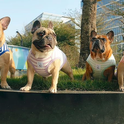 iChoue English Bulldog 100% Breathable Cotton Striped T Shirts Halloween Vest Clothes for Medium Dogs Tank Tops French Frenchie Pug Boston Terrier Pitbull Pink White Stripes - XXLarge