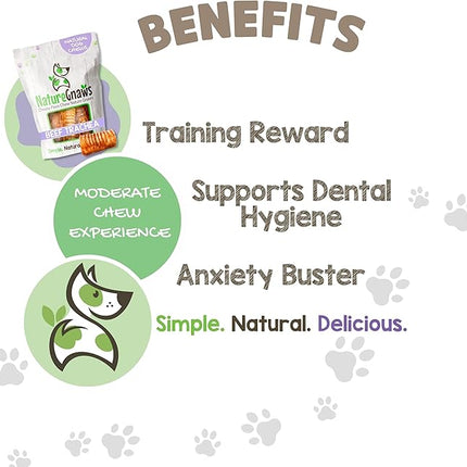Nature Gnaws Beef Trachea Chews for Dogs 3" (12 Count) - Long Lasting Natural Crunchy Dog Chew Bones - Rawhide Free (Pack of 2)