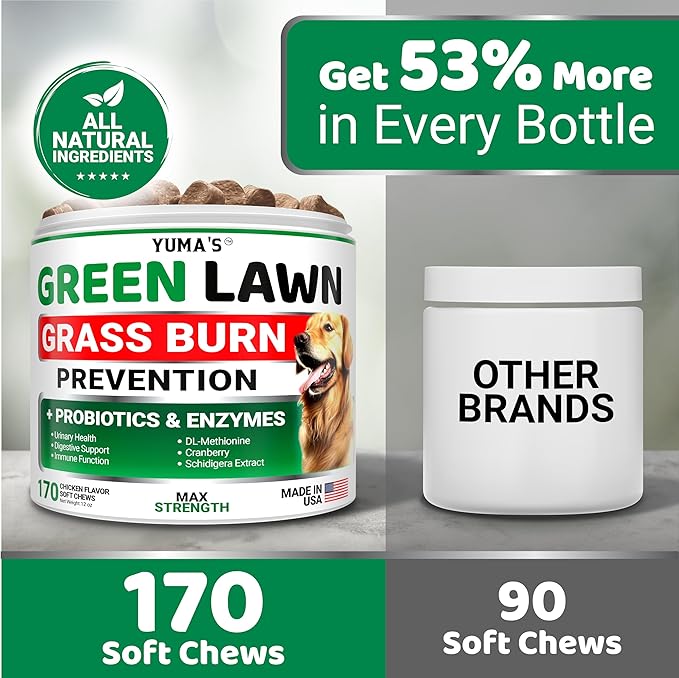 YUMA'S Dog Urine Neutralizer for Lawn - 170 Chews - Advanced Grass Green Savers for Dog Urine - Canine Pee Grass Neutralizer Supplement - Green Lawn Treats with Probiotics and Digestive Enzymes