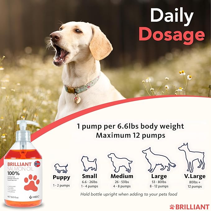 Salmon Oil for Dogs - Healthy Skin & Coat, Natural Norwegian Omega 3 Fish Oil Food Supplement, EPA & DHA Fatty Acids, Ideal for Shedding, Allergy, Itching, Dry Skin, Joint & Bone Health - (2 x 16.9oz)
